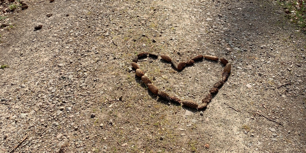 Bonnie mit Herz aus Tannenzapfen