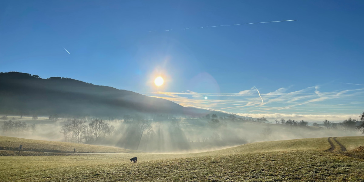 Bonnie in ihrem Element